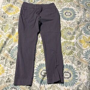 Loft Dress Pant